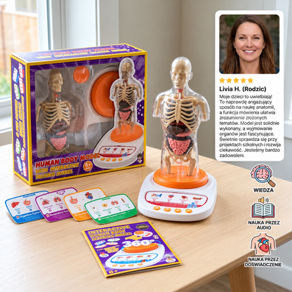 Interaktywny mówiący model anatomiczny z wyjmowanymi organami i nauką z przewodnikiem audio
