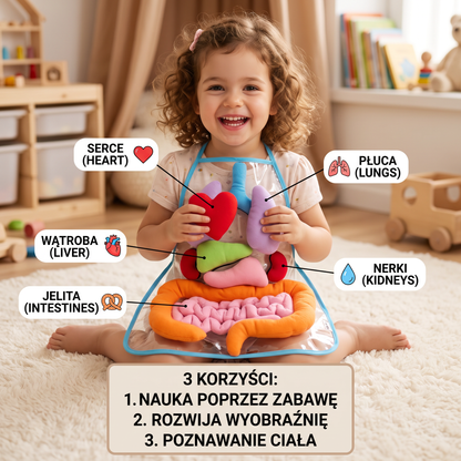Fartuszek Edukacyjny – Poznaj Ludzkie Ciało Poprzez Zabawę