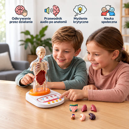 Interaktywny mówiący model anatomiczny z wyjmowanymi organami i nauką z przewodnikiem audio